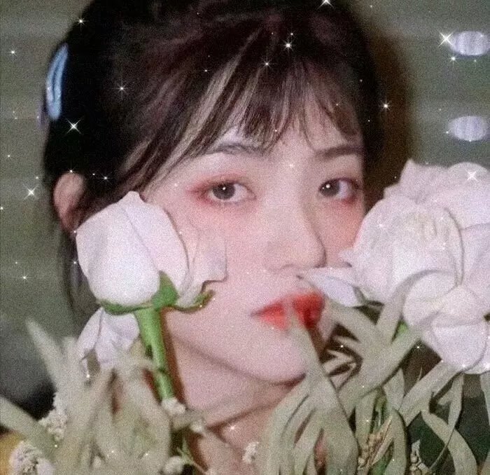 影星杰海报